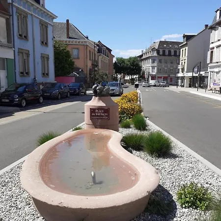 Le Vauban Avec Parking Couvert Appartamento *